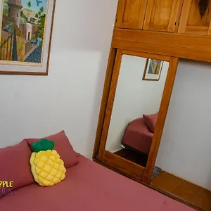 Apartment Pineapple Hospitality, Mayaguez